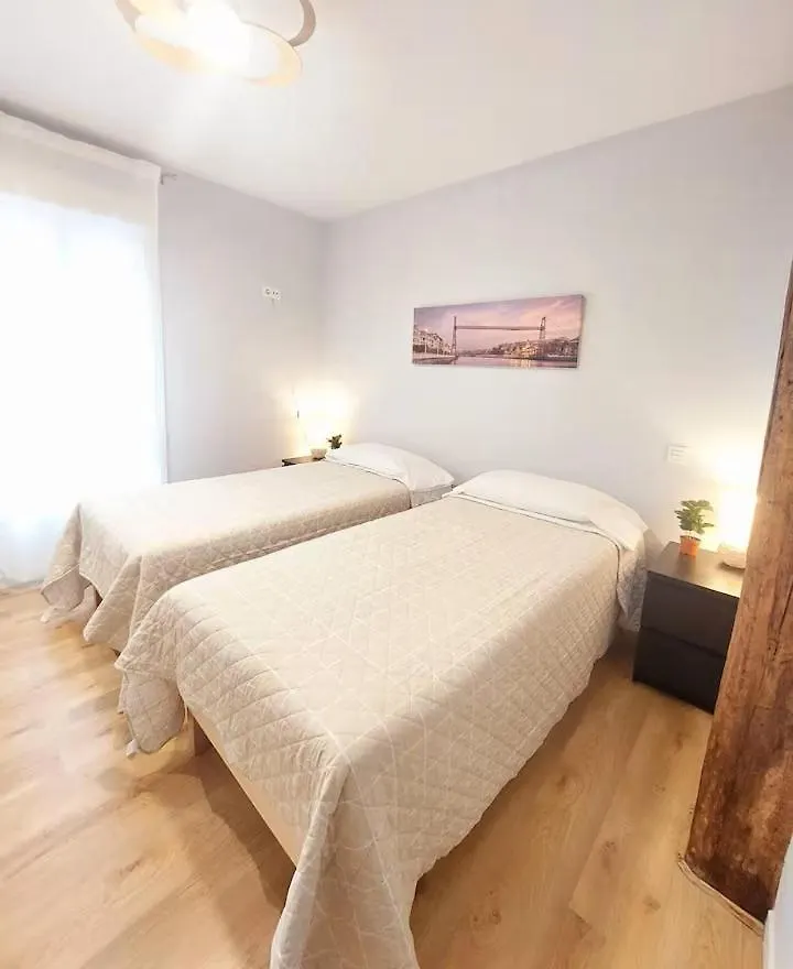 Habitacion En Apartamento Con Zonas Comunes Compartida Hn Bilbao Spanien